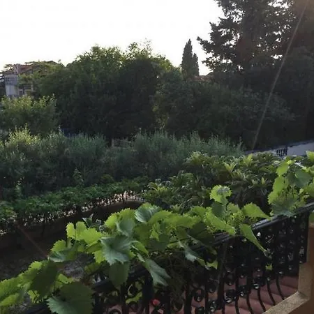 And With Parking Space Biograd Na Moru, Biograd - 16576 Guest house 3*
