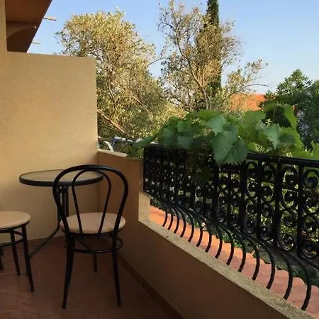 Guest house And With Parking Space Biograd Na Moru, Biograd - 16576